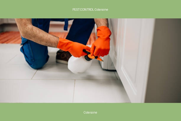PEST CONTROL Coleraine